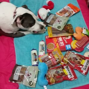 Meet your Posher, Pearl